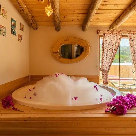 Vila Patara Gelemiş